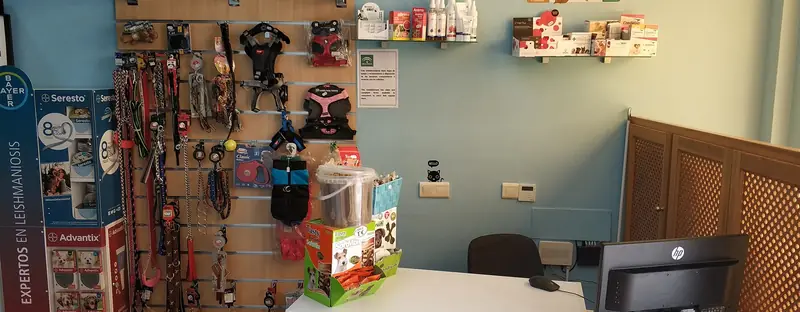 Inside Ondina Vet Practice