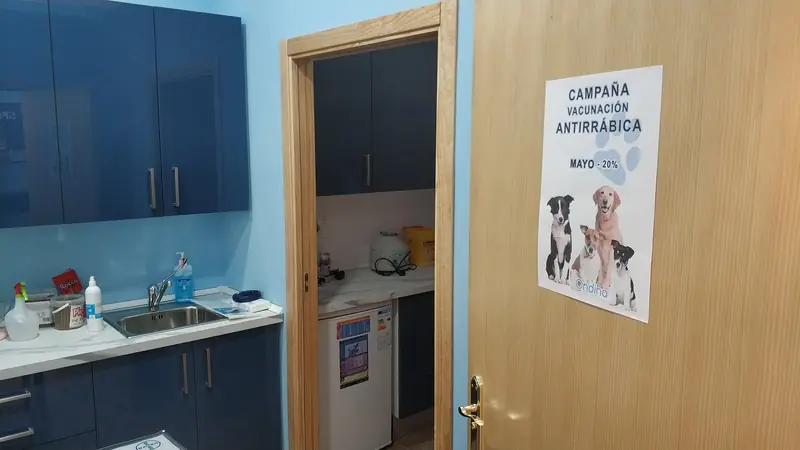Inside the Ondina veterinary clinic